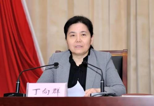 海外青年华商沙龙交流暨海南自贸港政策推介会在海口举办