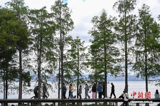 中国人民大学发布“观天 短临降水智能预报系统”等最新成果
