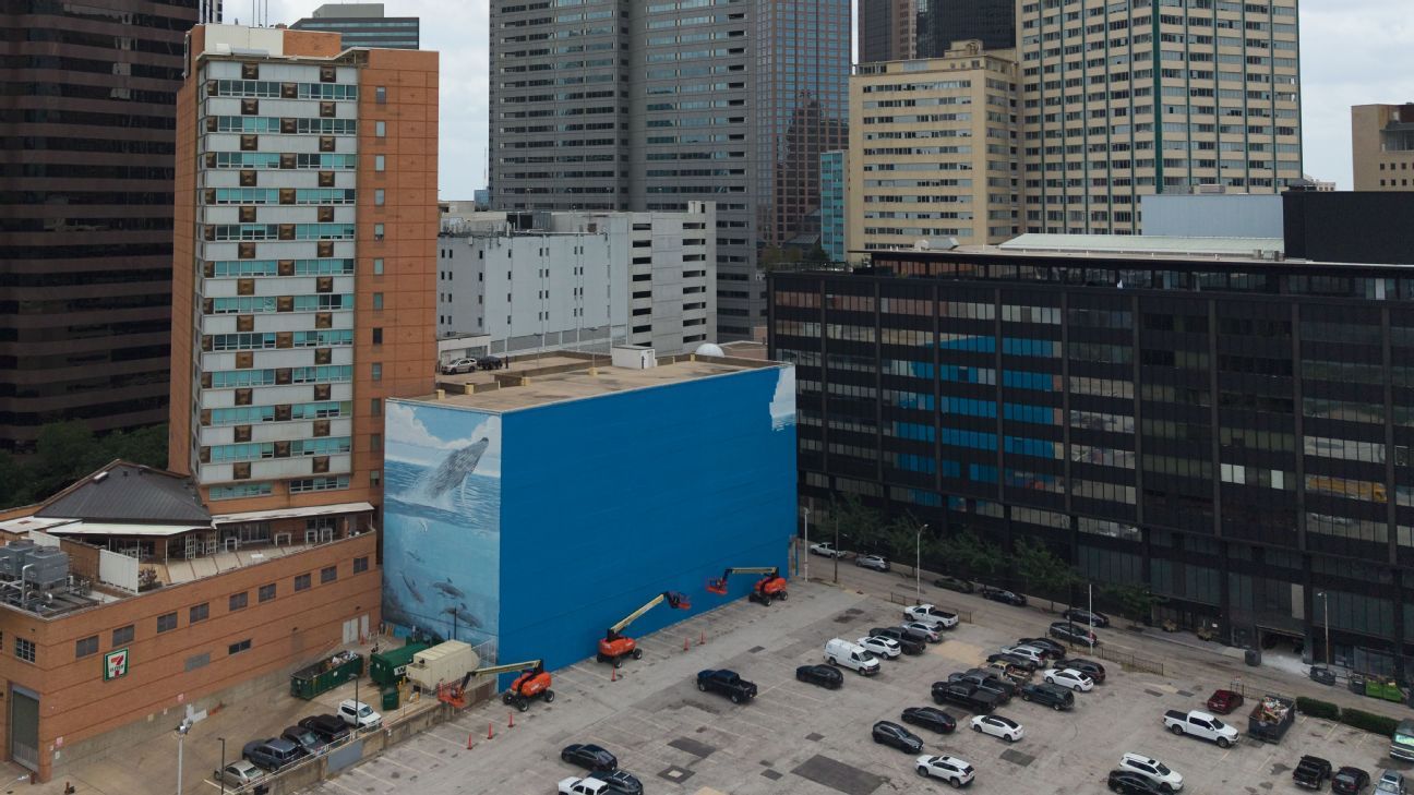 FIFA sued for painting over Dallas whale mural