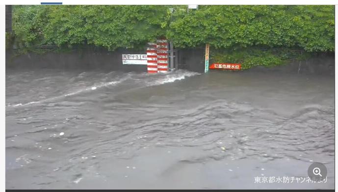 台风“蔷薇”袭击日本 东京多条河流面临“泛滥危险”