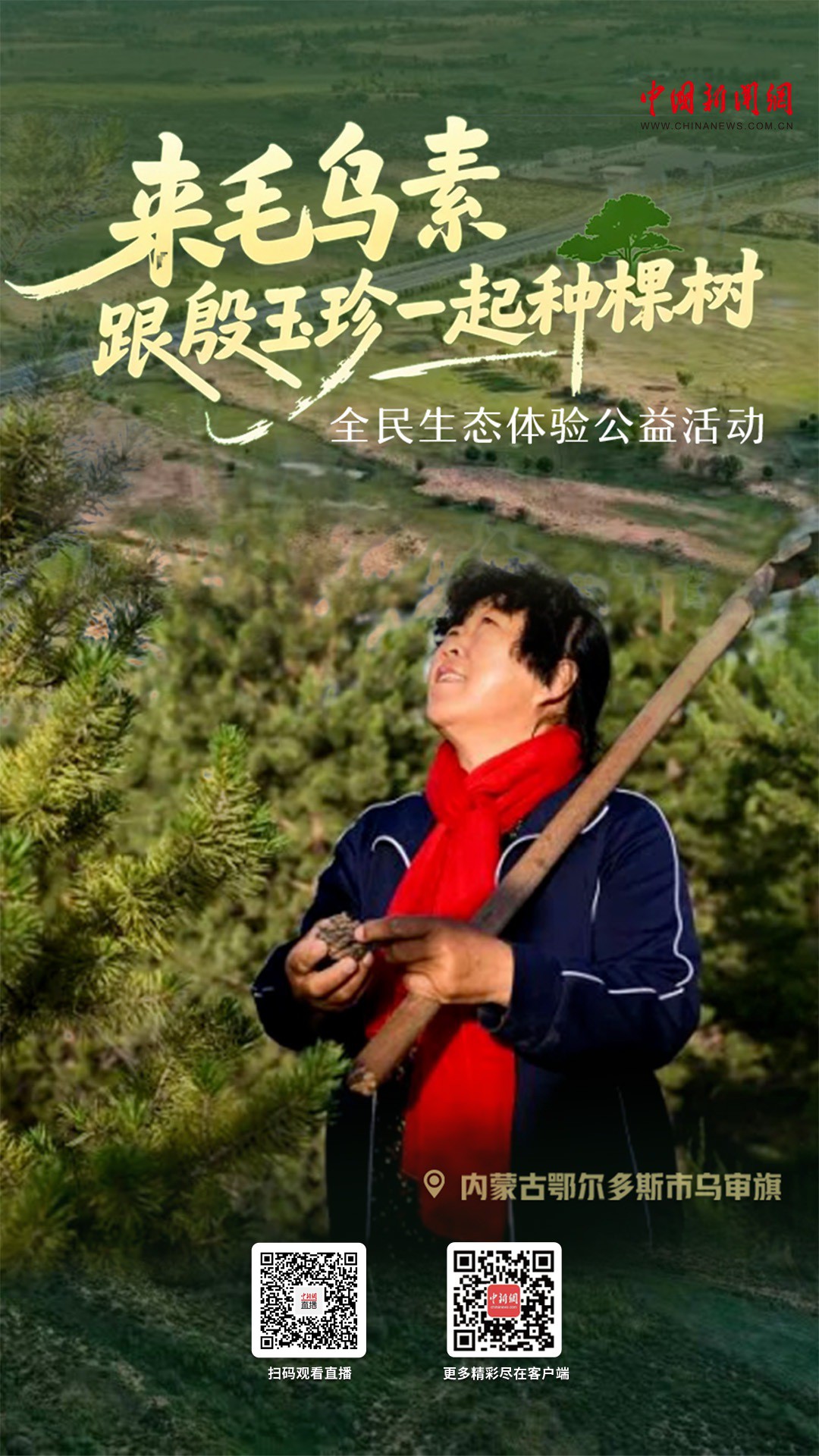 直播海报：来毛乌素，跟殷玉珍一起种棵树