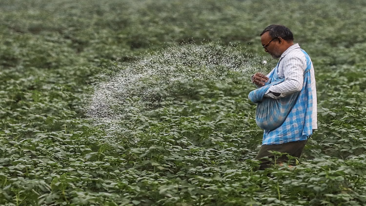 Fertiliser: भारत की उर्वरक सुरक्षा दांव पर, एफएआई की मांग- पुराने अमोनिया संयंत्रों को अपग्रेड करना जरूरी