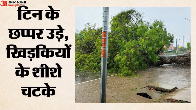 Weather: 100 किमी की रफ्तार से आंधी-बारिश, खंभे उखड़े...दिल्ली-एनसीआर में पेड़ गिरे; 300 से ज्यादा वाहन दबे
