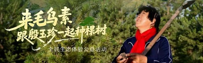 直播：来毛乌素，跟殷玉珍一起种棵树