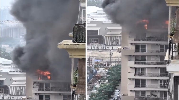 Noida Fire: दिल्ली के बाद अब नोएडा में हादसा, सोसायटी के एक फ्लैट में भीषण आग; दूर तक दिखा काले धुएं का गुबार
