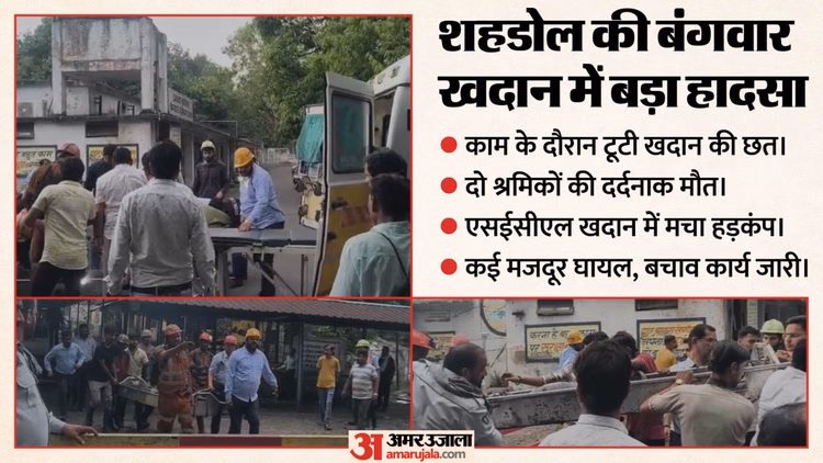 Shahdol News: कोयला खदान में छत धंसने से दो मजदूरों की मौत, चार श्रमिक हुए घायल; बचाव कार्य जारी
