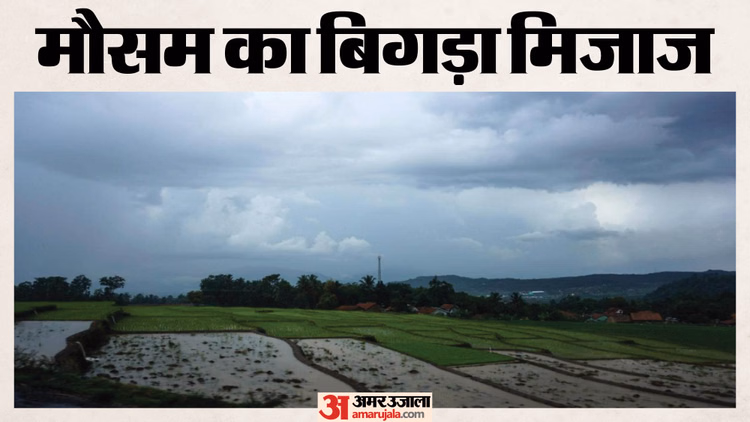 Rajasthan News: राजस्थान में प्री-मानसून की जोरदार दस्तक; बीते 5 वर्षों में सामान्य से ज्यादा बारिश का ट्रेंड