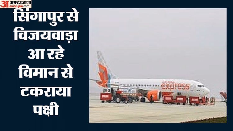 Bird Hit: आंध्र प्रदेश के विजयवाड़ा एयरपोर्ट पर टला बड़ा हादसा, एयर इंडिया एक्सप्रेस की उड़ान से टकराया पक्षी