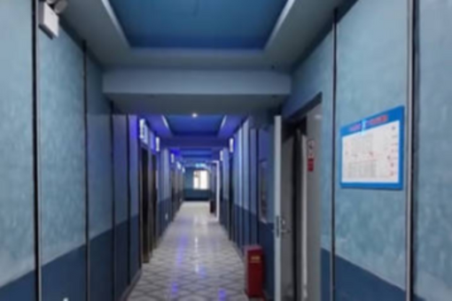 全球海洋现象智能预报大模型“琅琊”2.0在山东青岛发布