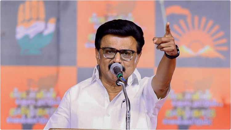 Tamil Nadu Politics: बिजली कटौती के आरोपों पर भड़की डीएमके, टीवीके विधायक पल्लवी को भेजा मानहानि का नोटिस