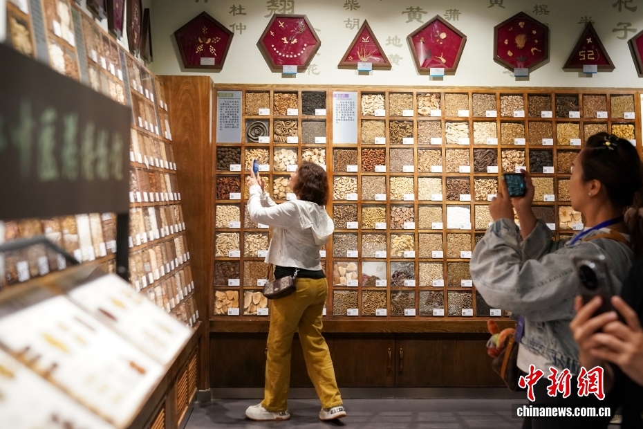 “黑土传情 海峡同心”活动在哈尔滨启幕 台湾同胞沉浸式体验中医药文化
