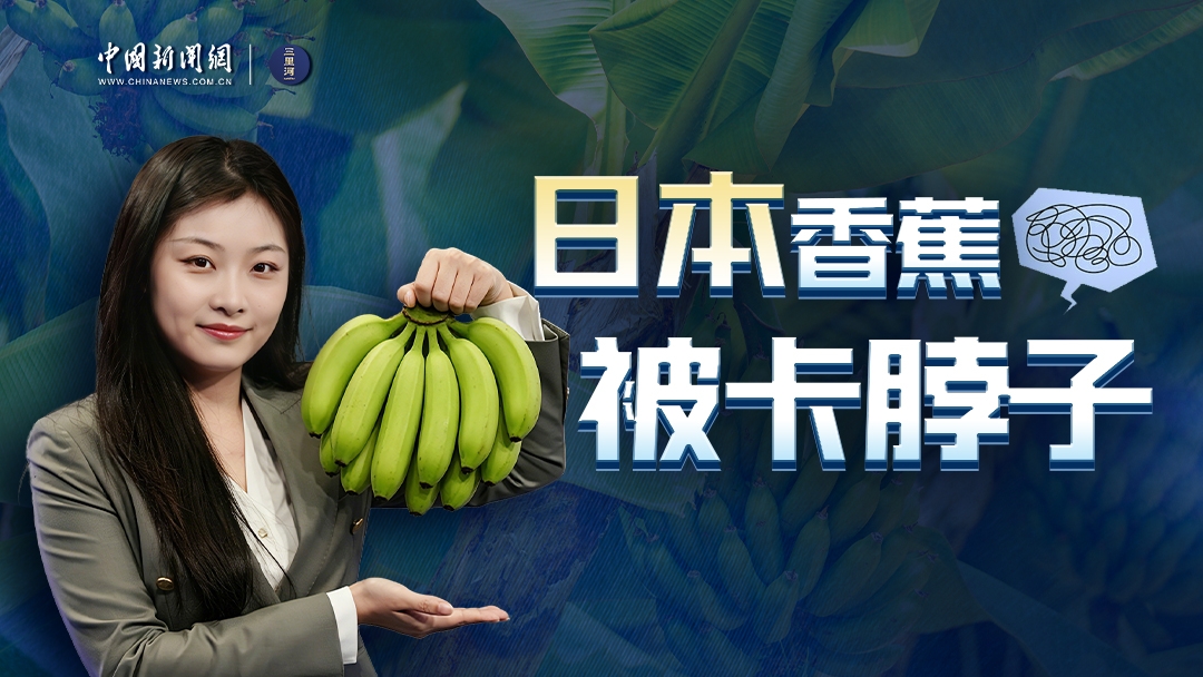 国际档案日：2毫米极致标准！档案修复师凭“强迫症” 守护时光