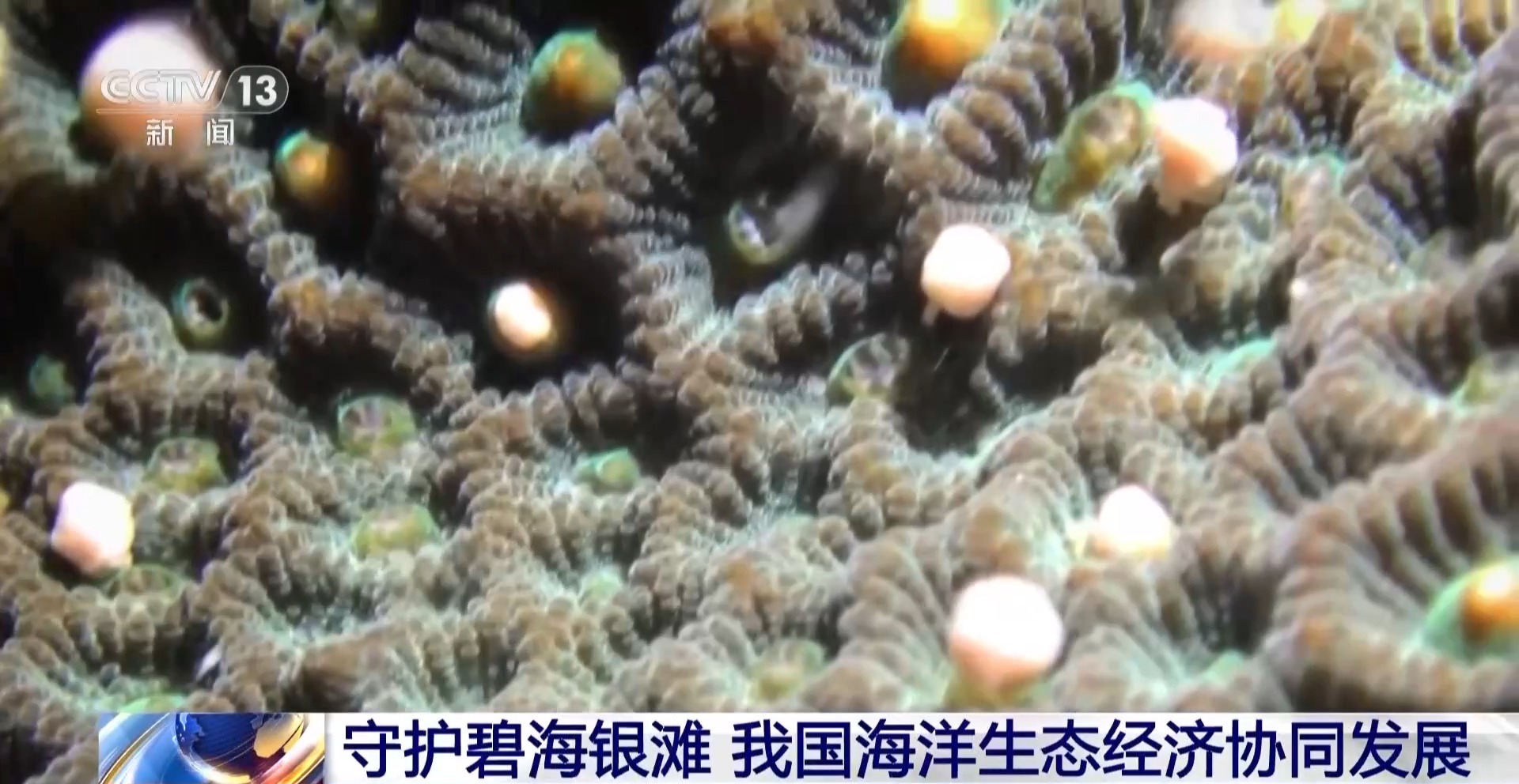守护碧海银滩 我国海洋生态经济协同发展