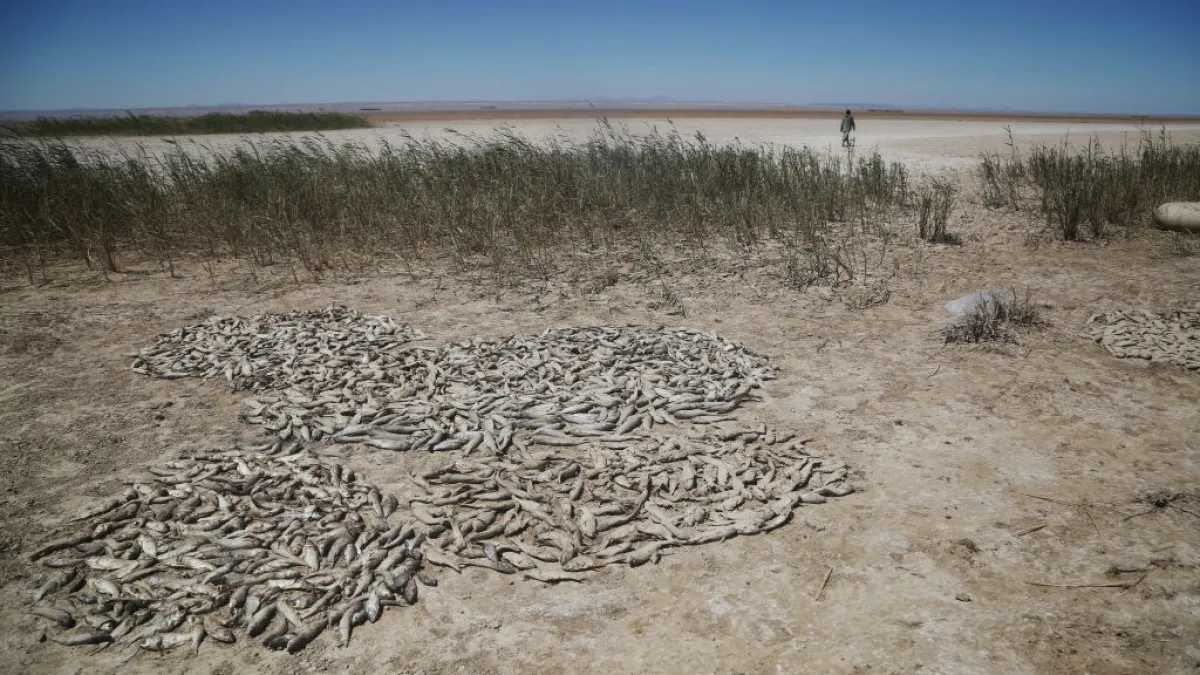Iran’s lakes are vanishing: Satellite images show a deepening water crisis