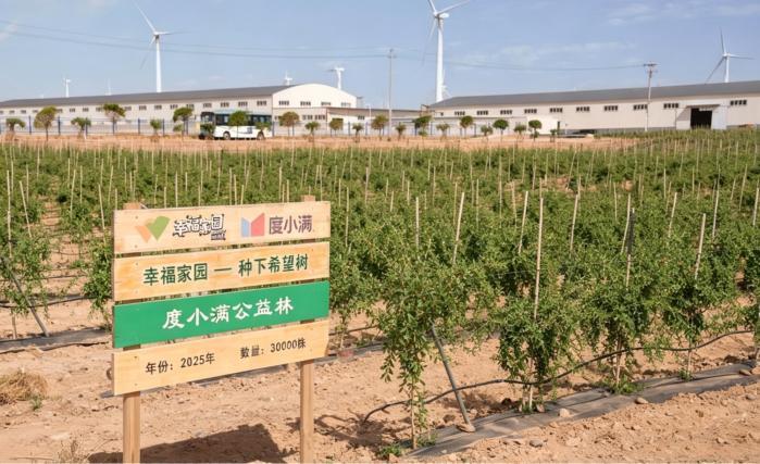 度小满和领头雁计划合作 携清华新媒体志愿者调研中宁枸杞产业