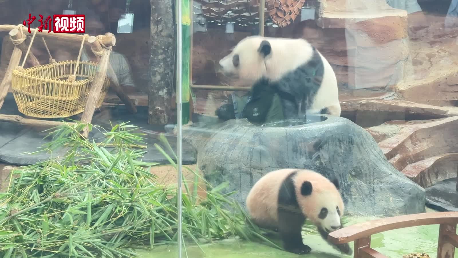 菲律宾群岛地区发生7.9级地震 我驻达沃总领事馆：暂无中国公民伤亡报告