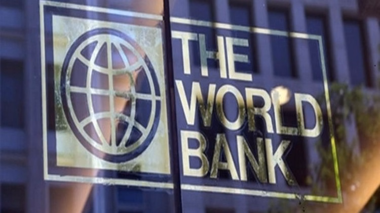 World Bank: 'वैश्विक संकट के बीच भी नहीं थमेगी भारत की रफ्तार', जानिए विश्व बैंक ने किसे बताया गेमचेंजर