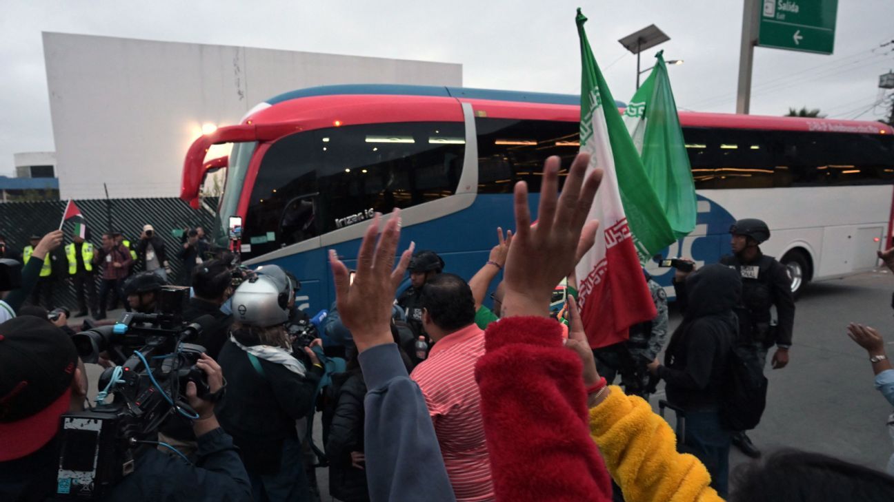 Iran fans' WC tickets revoked, says federation