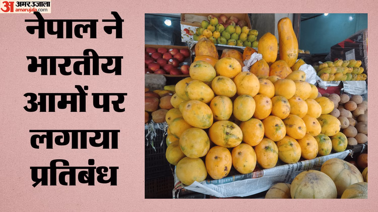 भारतीय फलों पर सख्ती: जापान के बाद नेपाल ने लगाया भारत के आमों पर प्रतिबंध, जानें क्या है वजह