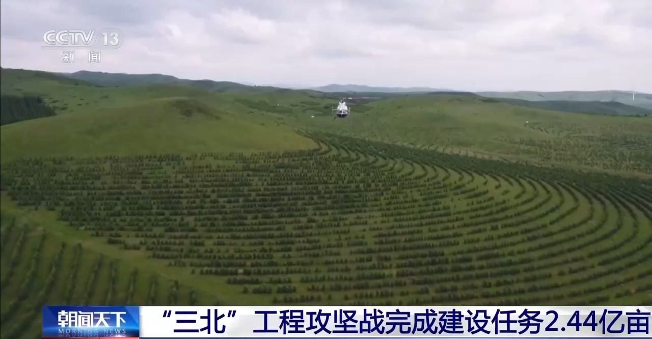 悬崖上植树有多难？揭秘“三北”工程硬核造林过程