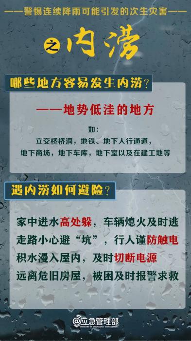 通报表扬！凌晨两次巡查，大桥塌陷前，他们拦下100多辆车