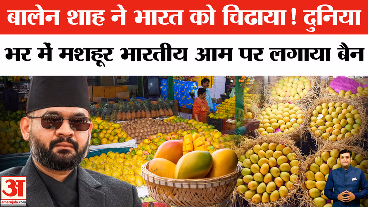 India Mango: बालेन शाह ने भारत को चिढाया! दुनिया भर में मशहूर भारतीय आम पर क्यों लगाया बैन?