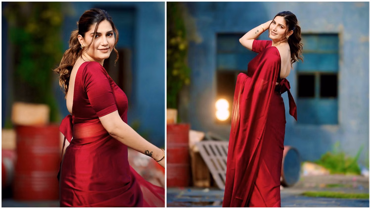 Sapna Choudhary: पीटता है पति, हरियाणवी डांसर ने छोड़ा ससुराल, कोर्ट ने दिया ये आदेश; 2020 में की थी लव मैरिज