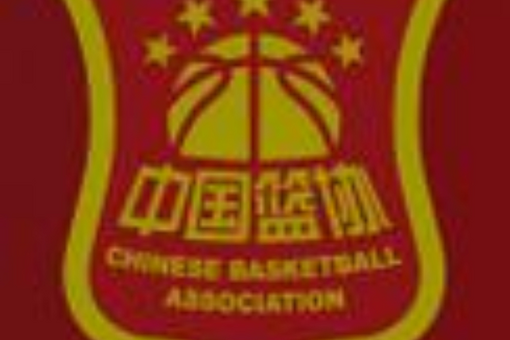 中国足协：17人被终身禁止从事任何与足球有关的活动