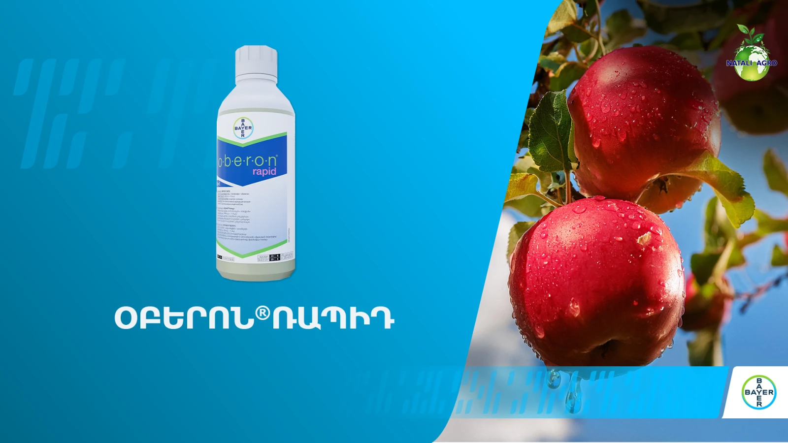 Օբերոն Ռապիդ՝ բույսը տզերից պաշտպանելու կոնտակտ-համակարգային ակարիցիդ