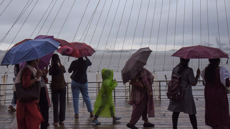 Monsoon: बिहार पहुंचा मानसून, तीन दिन में यूपी पहुंचने की संभावना; कई जिलों में बारिश से मिली गर्मी से राहत