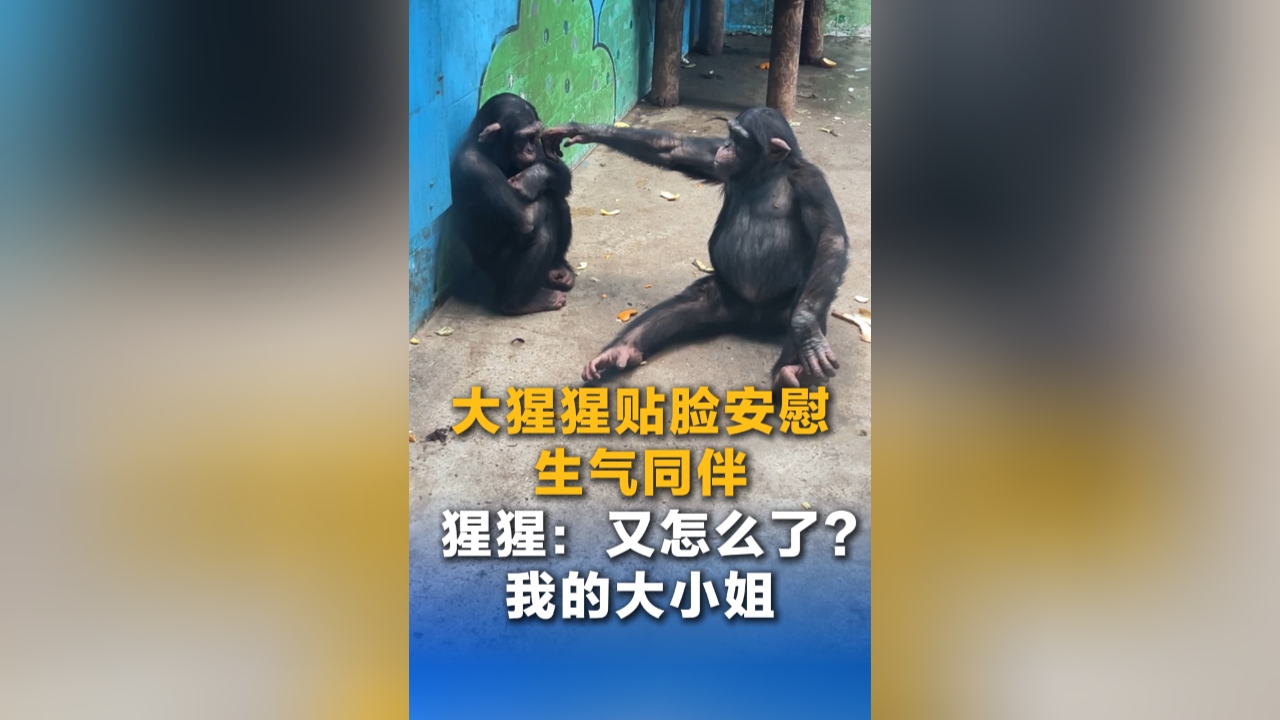 飞“阅”湖北黄石仙岛湖 壮阔湖山画卷“仙”气值拉满