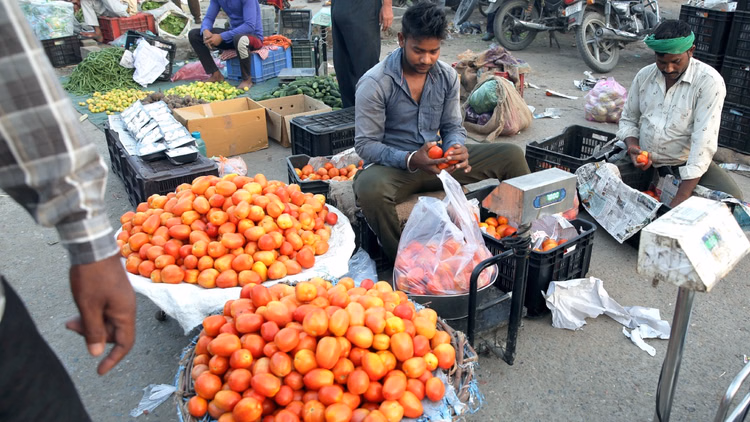 Retail Inflation: खुदरा महंगाई दर बढ़कर 3.93% पर; जानिए क्यों आम आदमी के जेब पर पड़ रहा बोझ