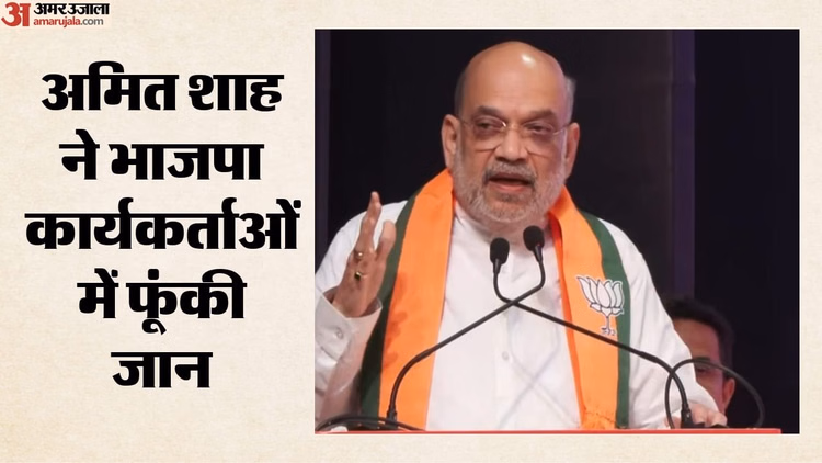 'हार नहीं, यह कामयाबी की सीढ़ी': अमित शाह का तमिलनाडु भाजपा को मंत्र, विधानसभा चुनाव के नतीजों पर किया मंथन