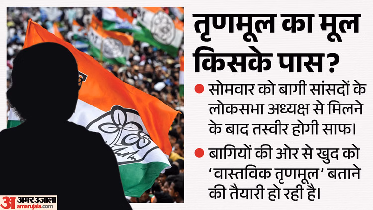 टीएमसी में कौन रहेगा, कौन जाएगा?: सोमवार को साफ होगी तस्वीर, खुद को असली तृणमूल बताने की तैयारी में हैं बागी
