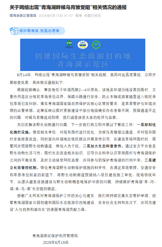 青海湖畔候鸟育雏受阻 官方回应：立即整改
