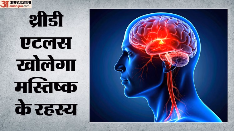 Human Brainstem Atlas: IIT मद्रास ने तैयार किया ब्रेनस्टेम एटलस एंकर, रोगों के कारणों को समझने में होगी आसानी
