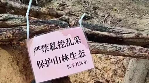 香港4所大学跻身QS全球五十强 香港中文大学排名升至第18位