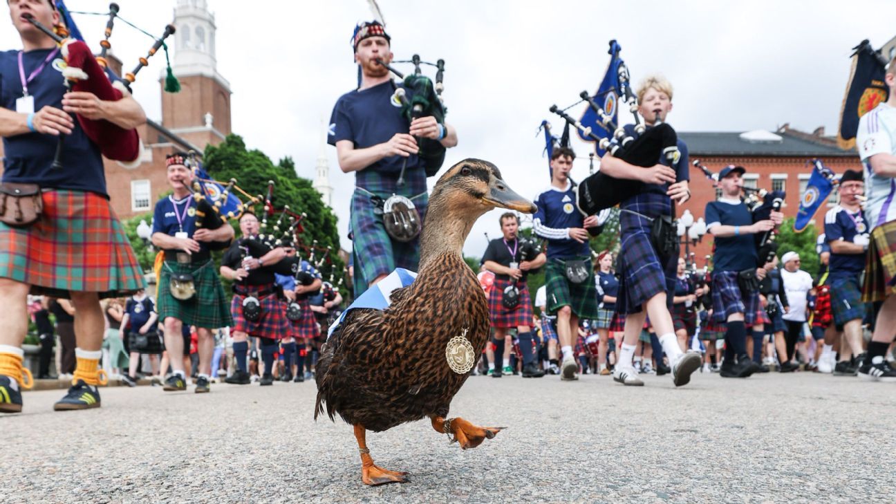 World Cup Daily: Meet Scotland superfan Donny the ...