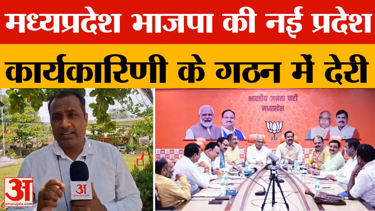 MP News: भाजपा की नई प्रदेश कार्यकारिणी के गठन को लेकर पार्टी कार्यकर्ताओं का बढ़ा इंतजार