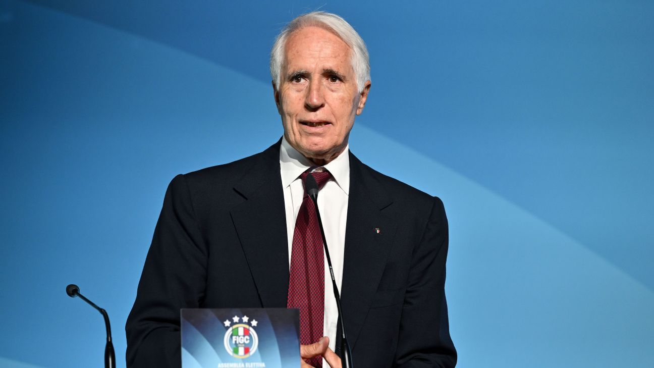 Crisis-laden Italian federation elects new chief