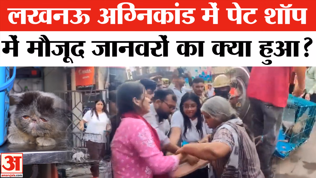 Lucknow Aliganj Fire: लखनऊ अग्निकांड में पेट शॉप में मौजूद जानवरों का क्या हुआ?