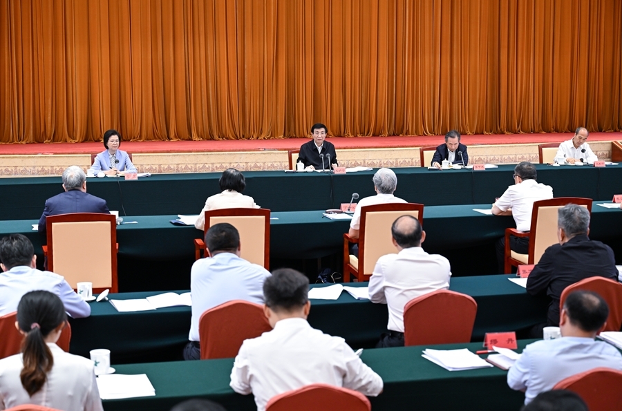 王沪宁出席建设强大国内市场调研协商座谈会