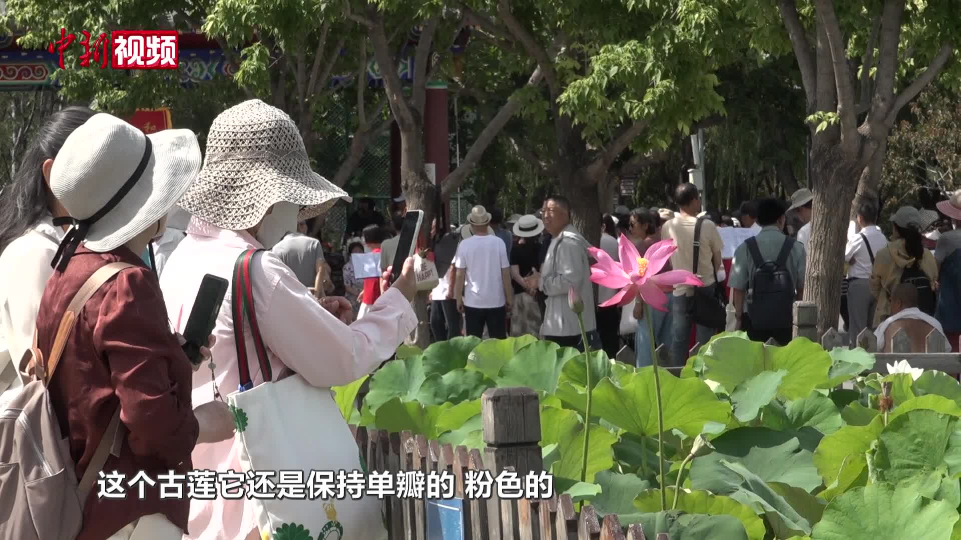 1800多个县城，撑起中国增长新底盘
