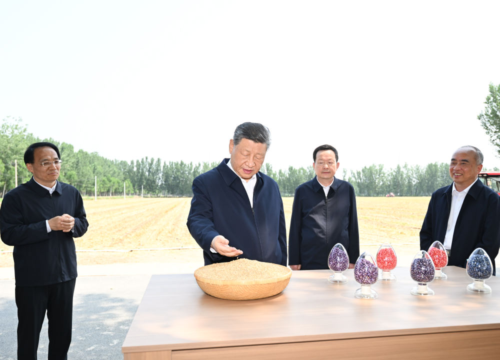 记者手记｜根脉在大地上，力量在人民中