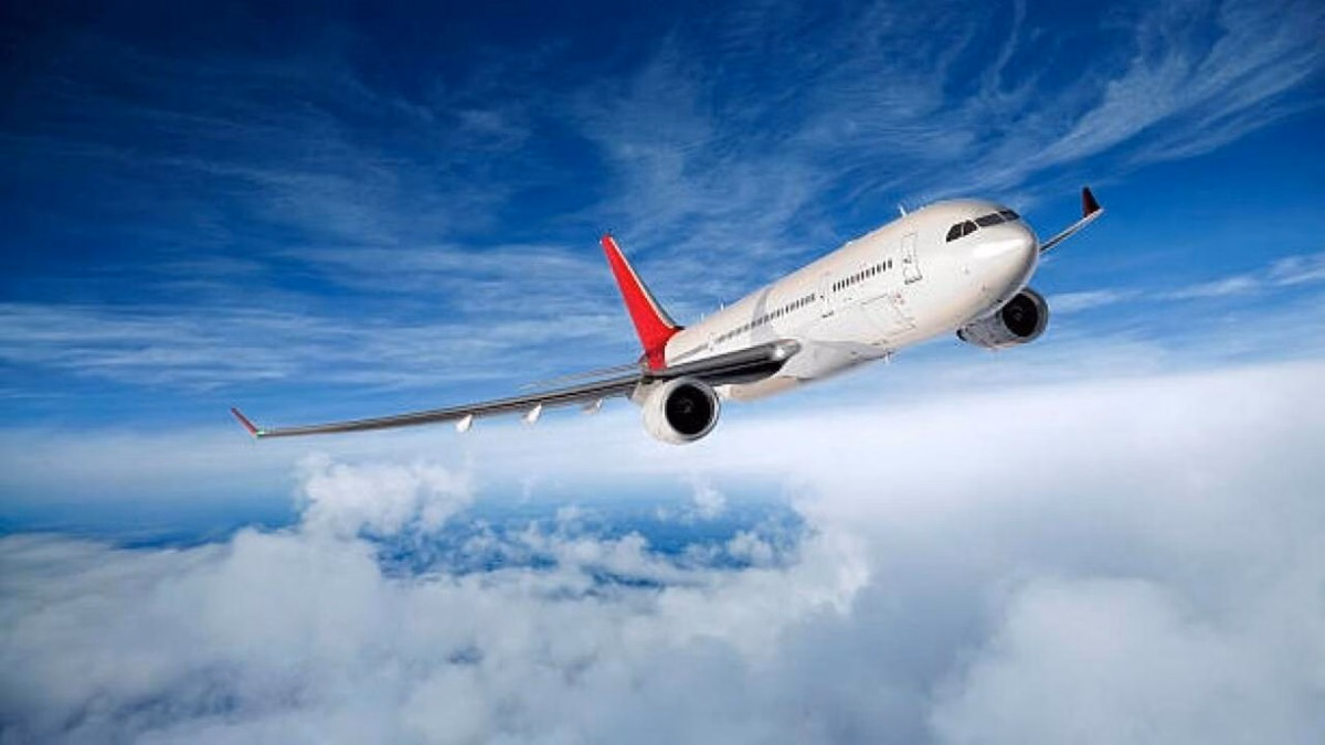 JetBlue: न्यूयॉर्क में जेएफके एयरपोर्ट पर बड़ा हादसा टला, विमान से ड्रोन टकराने का दावा; घटना की जांच शुरू