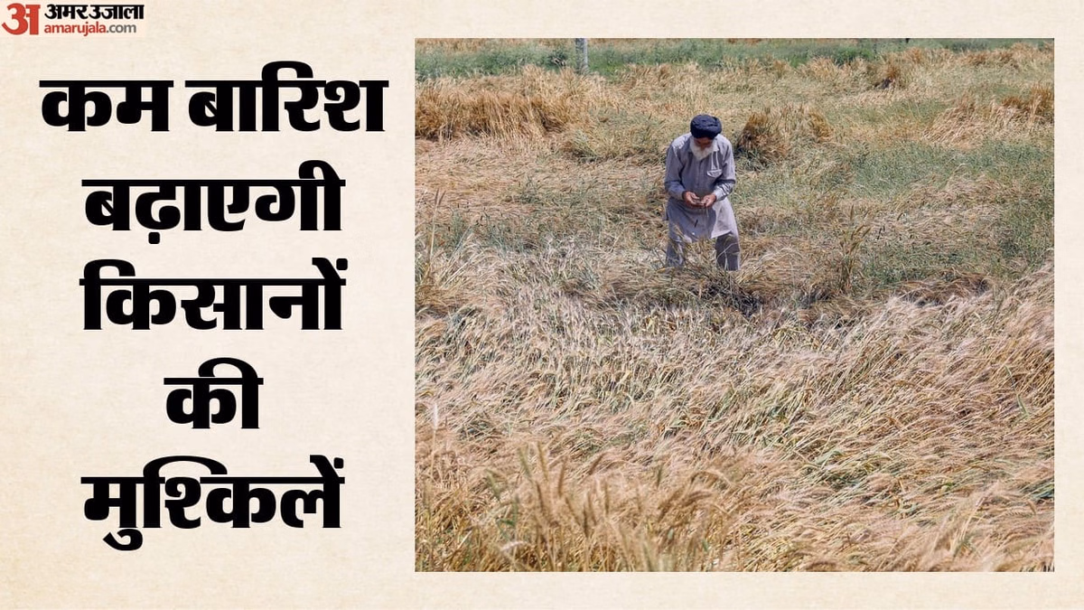 जुलाई में भी गर्मी से राहत नहीं: देशभर में सामान्य से कम बारिश की संभावना, IMD ने जारी किया मासिक पूर्वानुमान