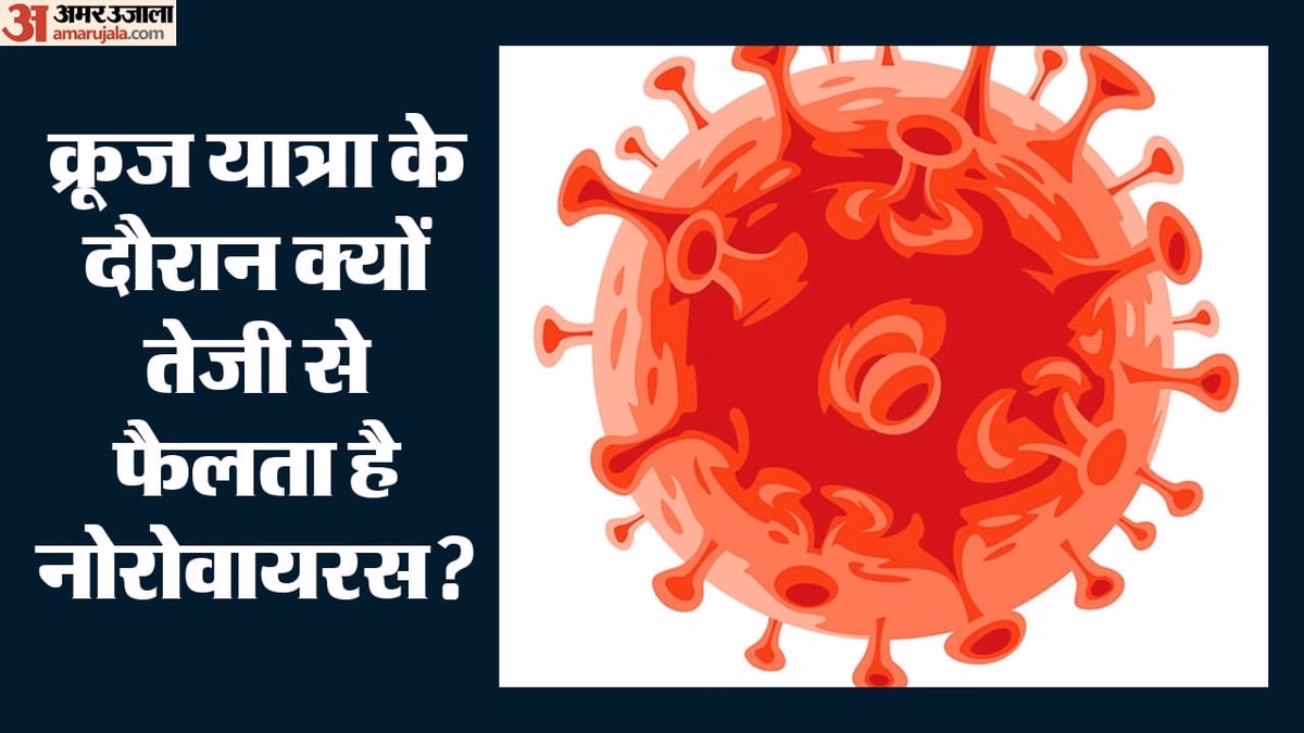 Cruise Virus Outbreak: क्रूज पर फैला नोरोवायरस, चालक दल समेत 125 लोग बीमार; कितना खतरनाक है यह संक्रमण?